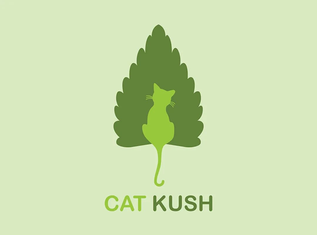 Website company profile profesional hasil pengembangan CodeHero - Desain Logo Cat Kush – Brand Minimalis Natural